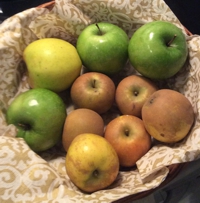 Apples of Gold