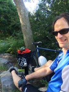 fragrant eucalyptus plant acquired near Chambly to full sun plot