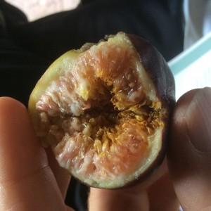 Picture of a half-eaten fig
