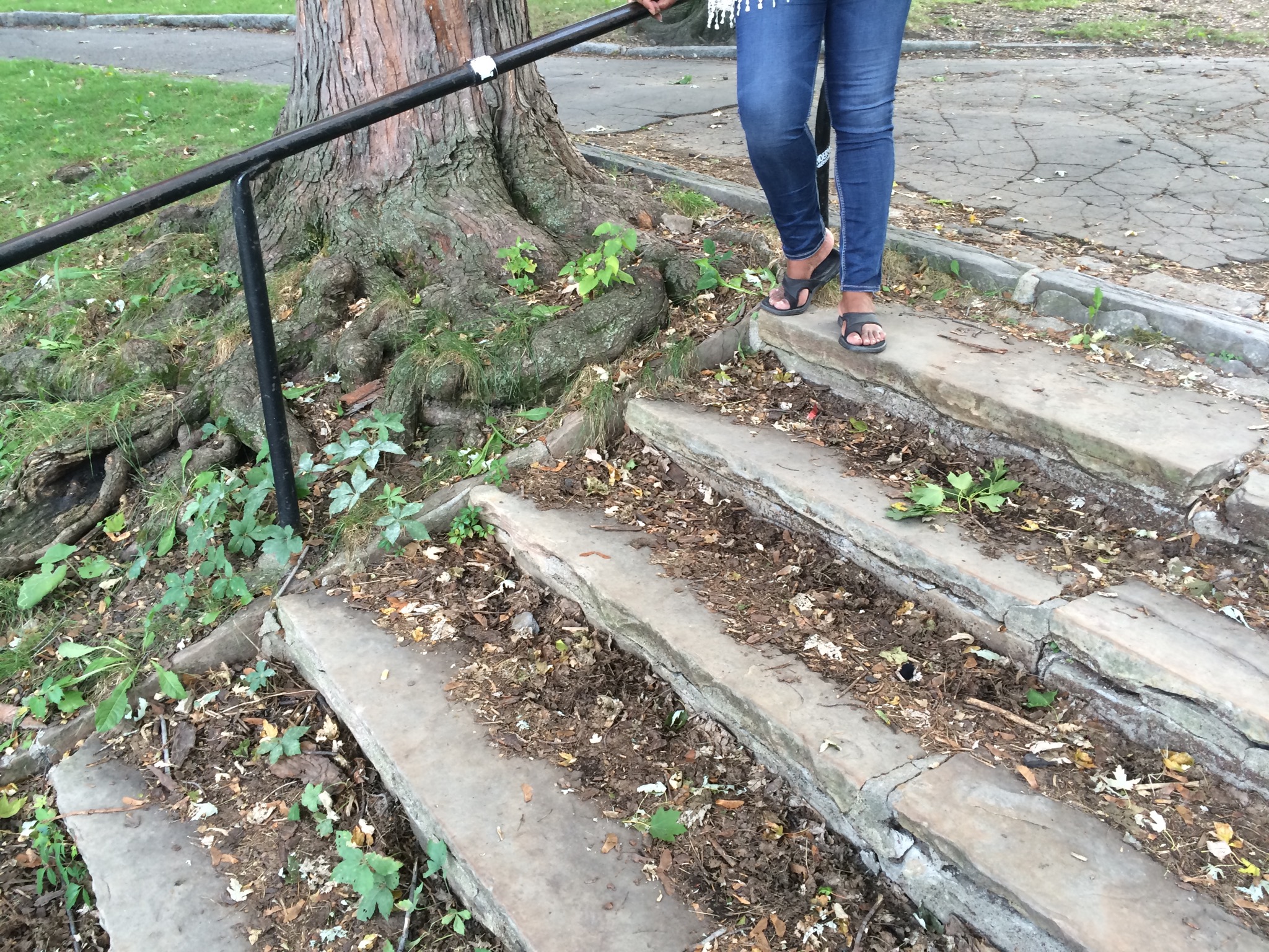 Stepsrootsbeautifulfeet